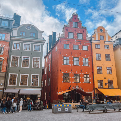 Everything You Need to Know About Visiting Skansen