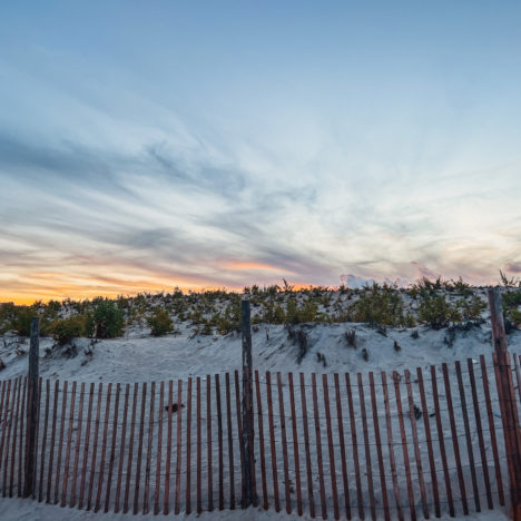 Desert Rose Labyrinth & Sculpture Garden